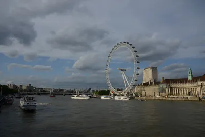 DSC_2814 (Large).JPG